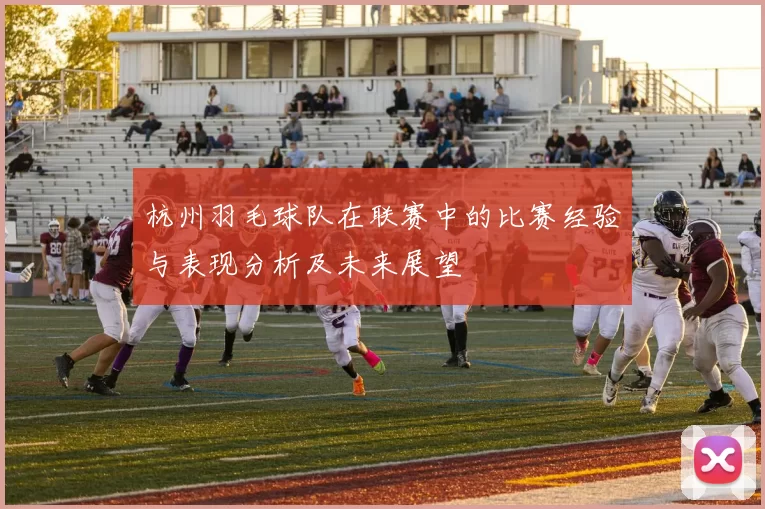 杭州羽毛球队在联赛中的比赛经验与表现分析及未来展望
