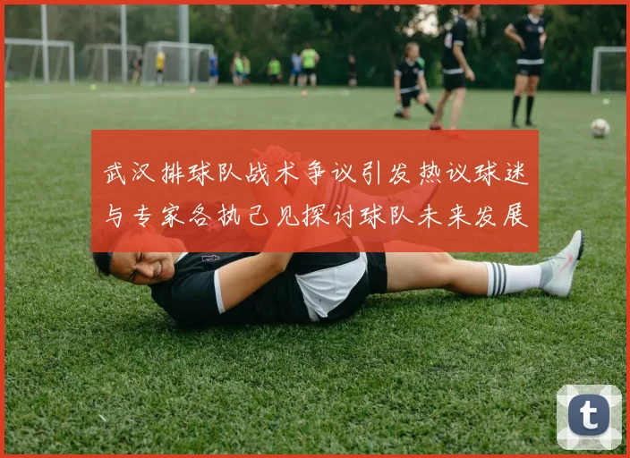 武汉排球队战术争议引发热议球迷与专家各执己见探讨球队未来发展方向